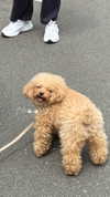 maya.keyy Altpins Profile Picture