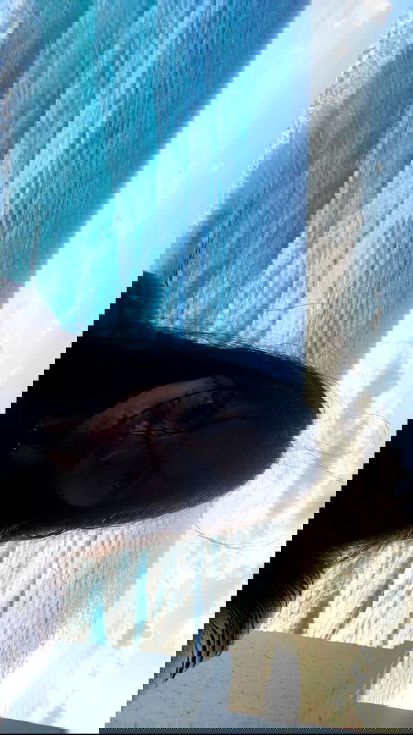 thelizzyporter thelizzyporter archive image