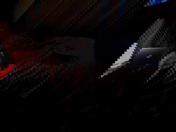 manjolamuriqi manjolamuriqi archive image