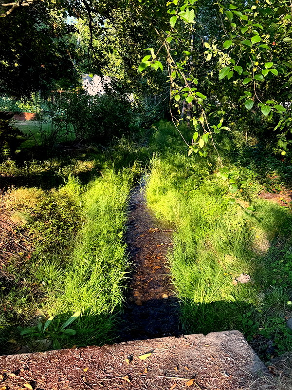 cialikechia instagram image archive image