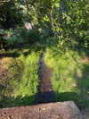 cialikechia Altpins Profile Picture
