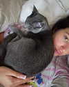 staskaranikolaou Altpins Profile Picture