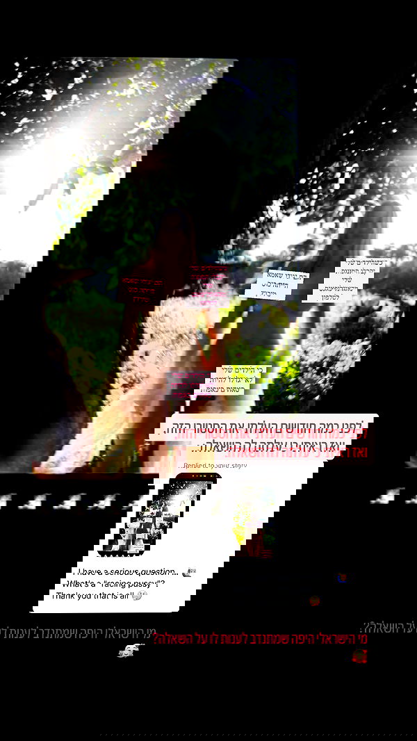 iambohema.v2 iambohema.v2 archive image