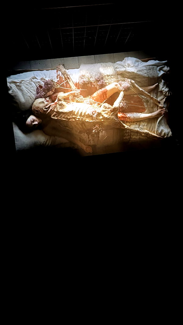 vampiryska instagram image archive image