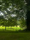 oliviiaa.rose Altpins Profile Picture