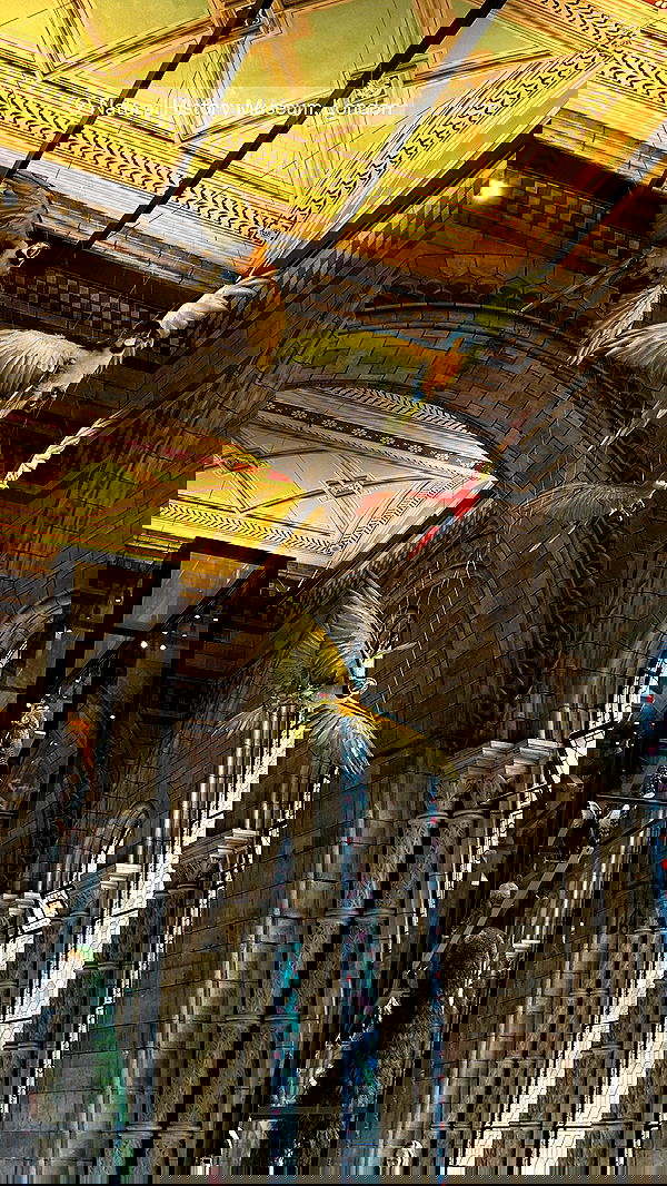 taylor.creeden taylor.creeden archive image