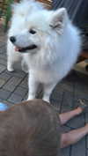 olivia.bolgerr Altpins Profile Picture