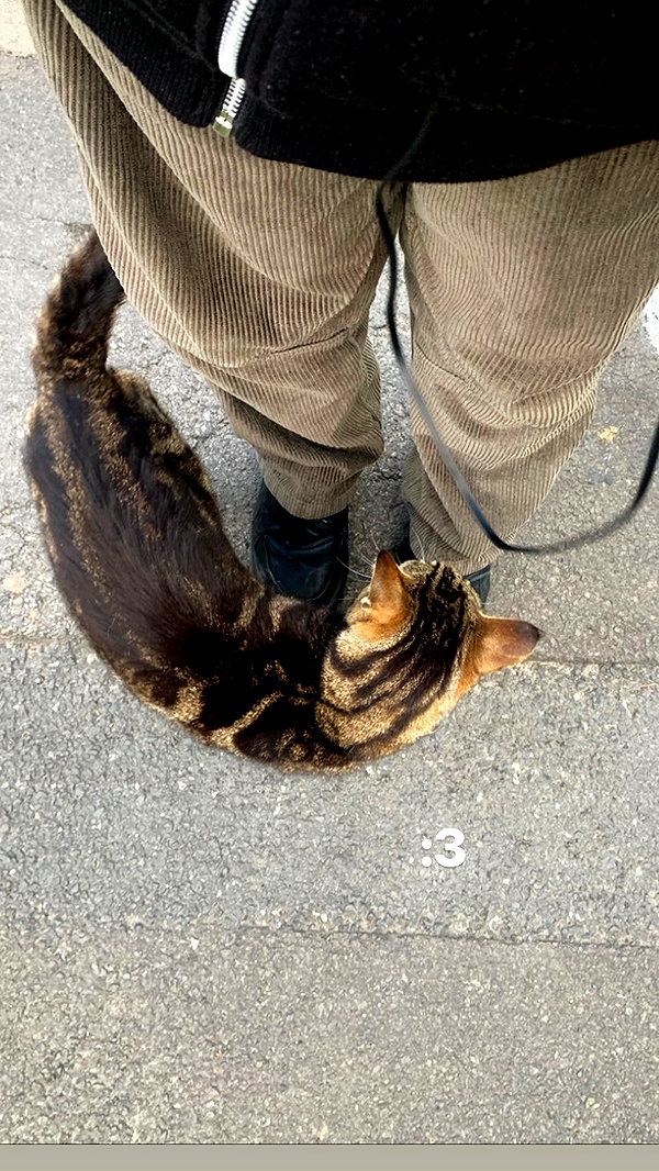 mollieruck instagram image archive image