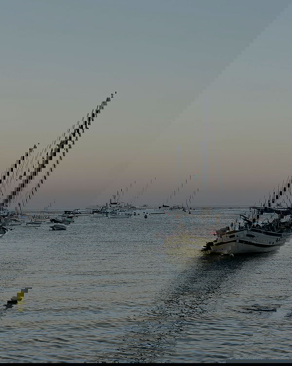 taylor.creeden taylor.creeden archive image