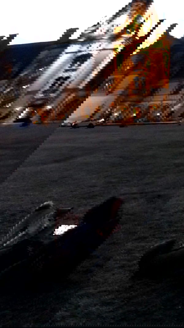 zommmbri zommmbri archive image