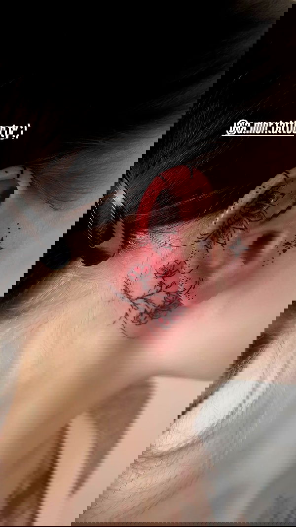 vwnrottie vwnrottie archive image