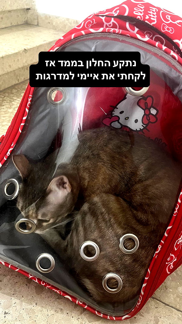 Archived image from @notchicore on Instagram