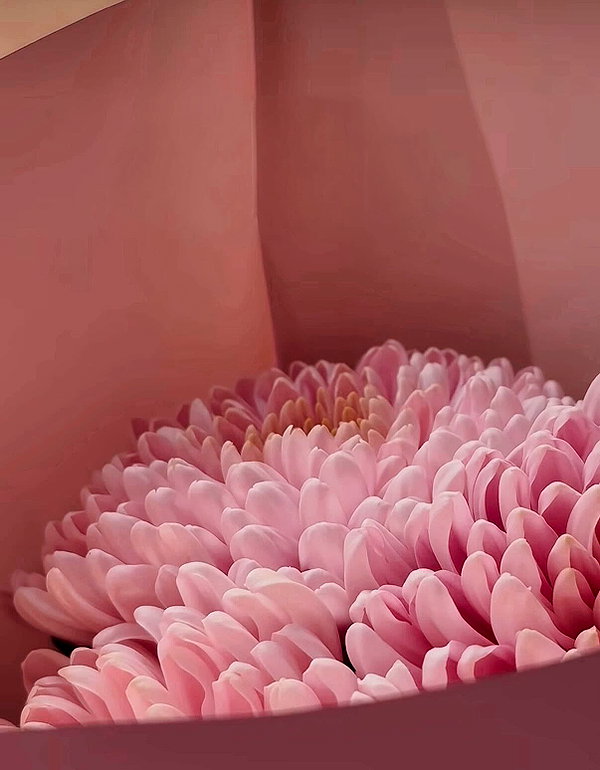 thebristern instagram image archive image