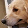 muze Altpins Profile Picture