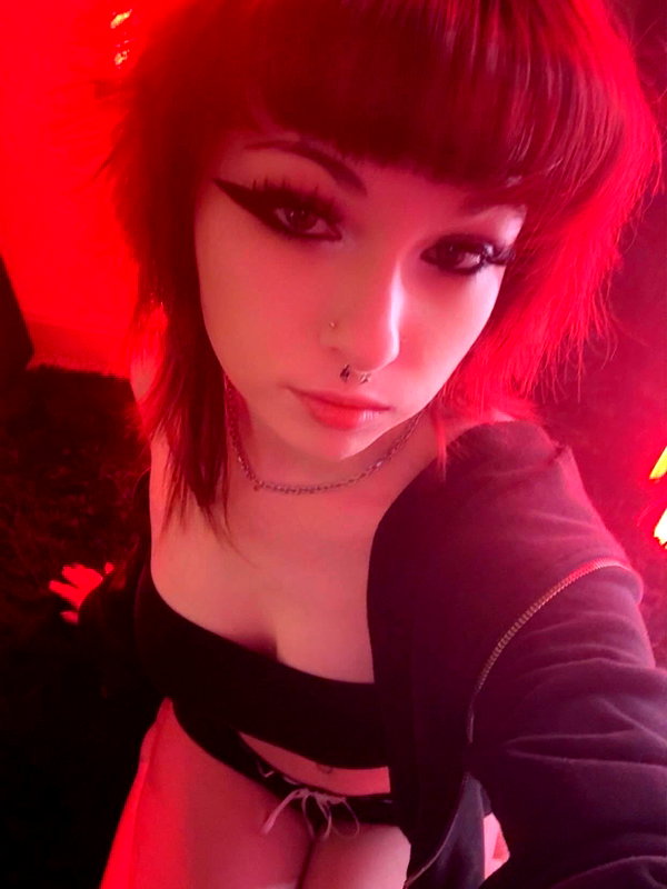 soupikitty archive image