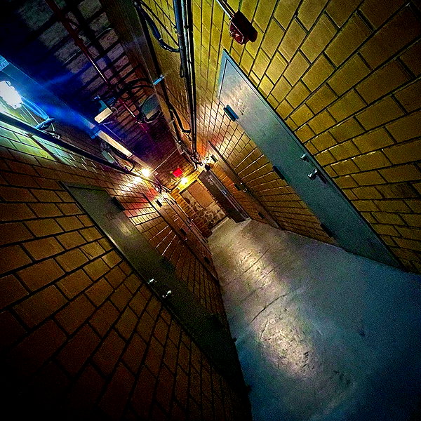 bugz4brainz instagram image archive image