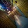 bugz4brainz Altpins Profile Picture