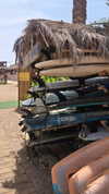 avital_1010.2003 Altpins Profile Picture