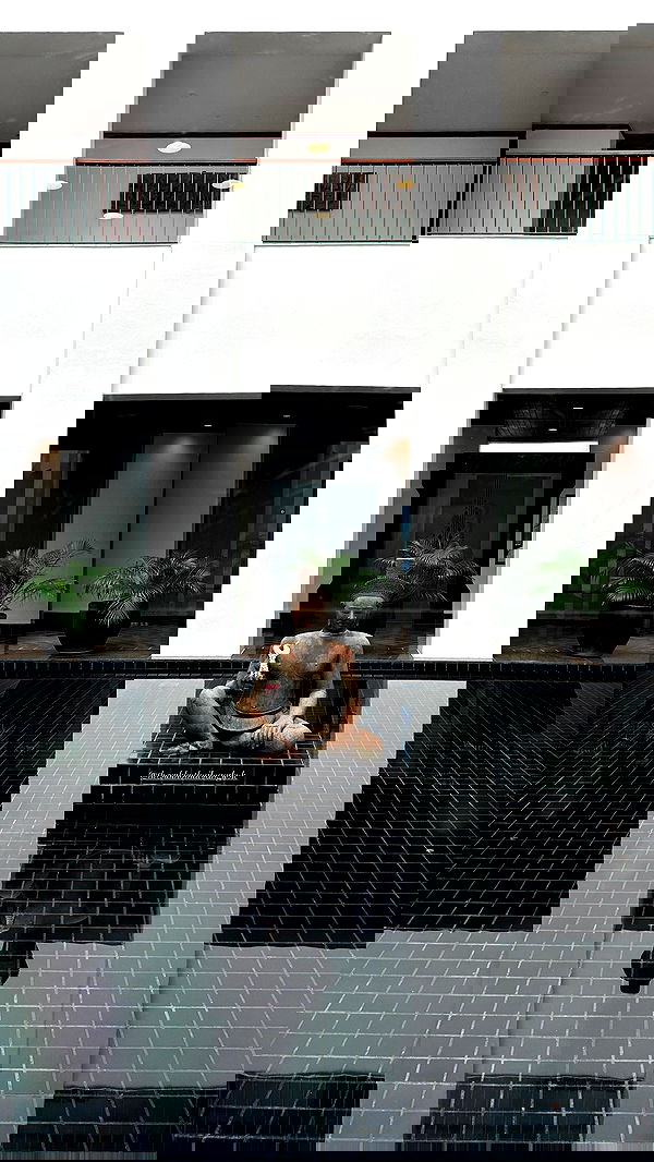 taylor.creeden taylor.creeden archive image