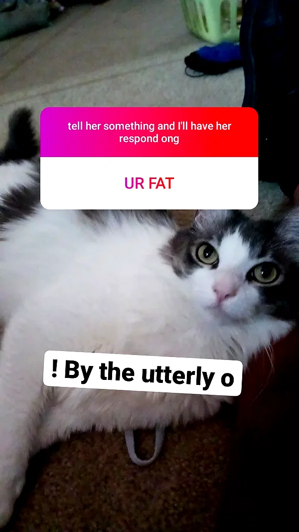 vanta.vinny instagram image archive image