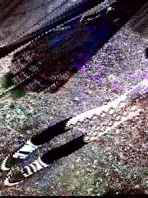 twodollie twodollie archive image