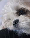 gabimfmoura Altpins Profile Picture