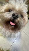 violetpau_ Altpins Profile Picture