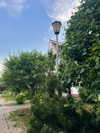 forestowwwl Altpins Profile Picture
