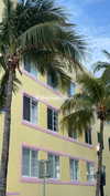 dekota_thompson Altpins Profile Picture