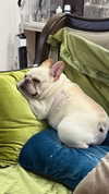 marilyn_damaged Altpins Profile Picture