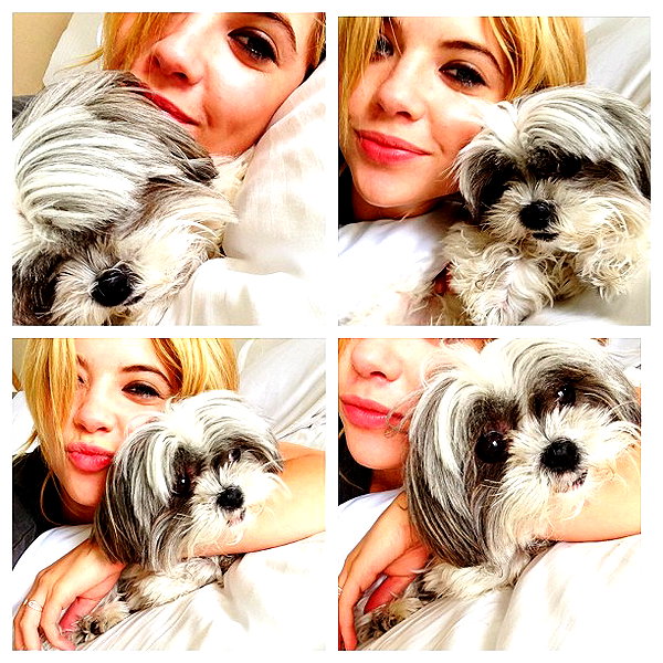 ashleybenson instagram image archive image