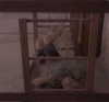 roni_roth Altpins Profile Picture