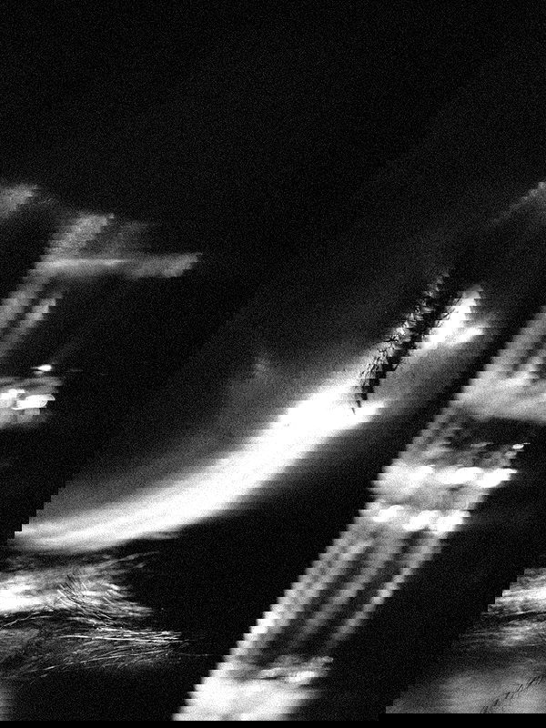 ting851204 ting851204 archive image