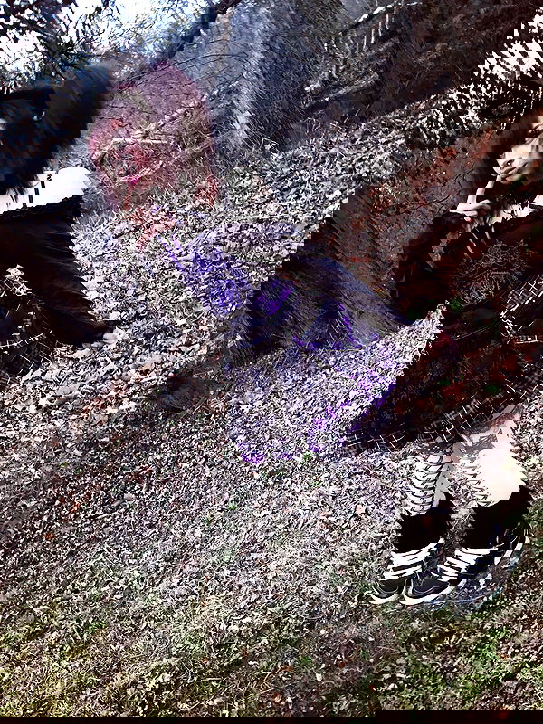 twodollie twodollie archive image