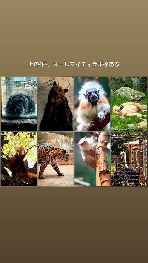 nanasemeron instagram image archive image