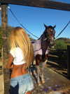 elizabethcampbelljones Altpins Profile Picture