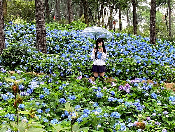 erokochiba instagram image archive image