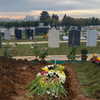 eliya.ho Altpins Profile Picture