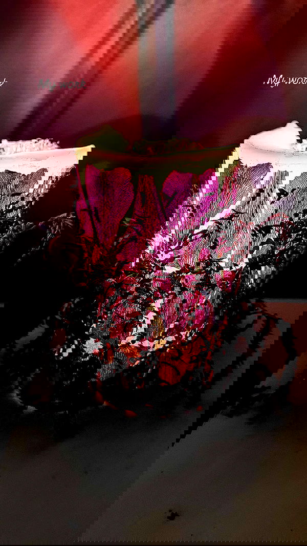 1justsabi 1justsabi archive image