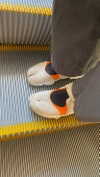 babynympho_archive Altpins Profile Picture