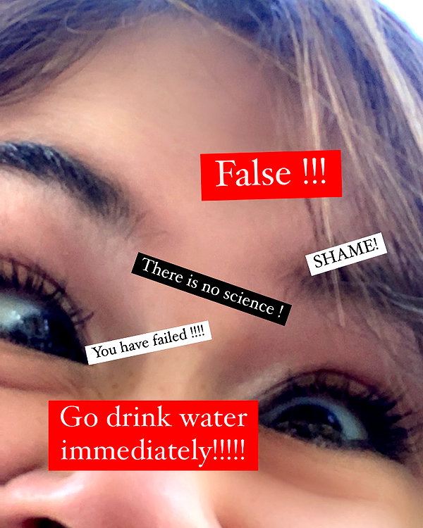 war_hamster6 instagram image archive image