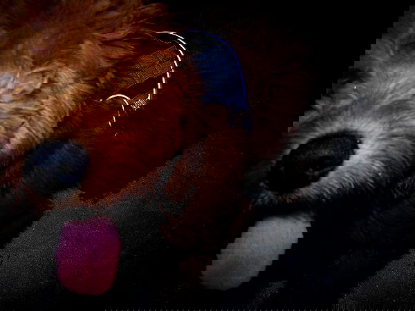 missnyxdawn missnyxdawn archive image