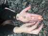 luckyme483 Altpins Profile Picture