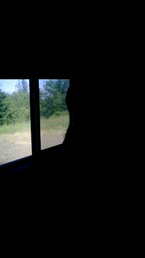 ch111oe ch111oe archive image