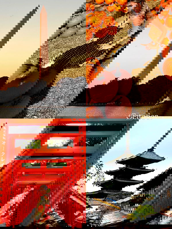 taylor.creeden taylor.creeden archive image