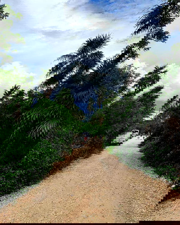 manjolamuriqi manjolamuriqi archive image