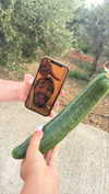 galibilaus Altpins Profile Picture