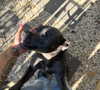 jtilb2 Altpins Profile Picture