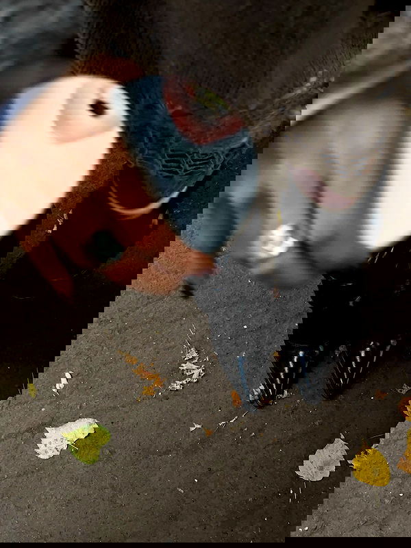 kkulakovaa image ~ Altpins