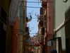 martinagiiuliani Altpins Profile Picture